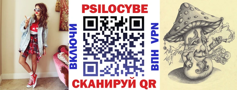 Галлюциногенные грибы Psilocybe  Луга 